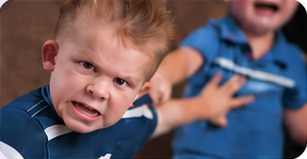 Emotions drive behaviour